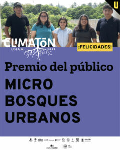 Micro bosques urbanos