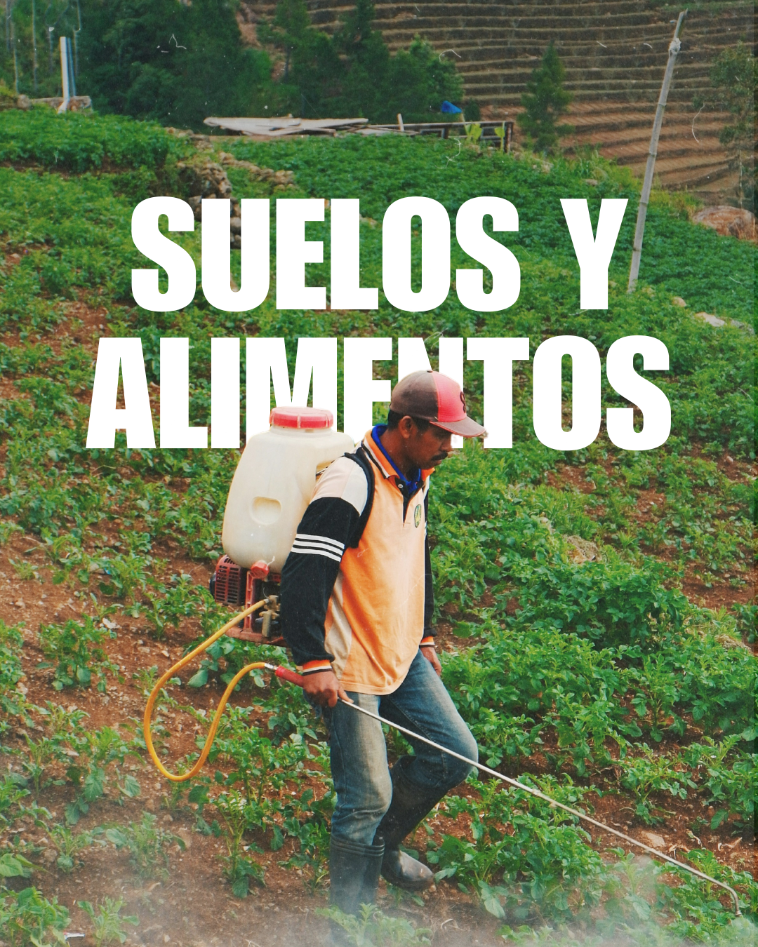 Problemáticas del Climatón: Suelos y alimentos