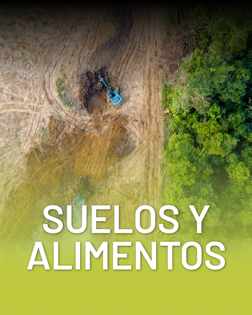 Temas_collage_climaton_todos-08