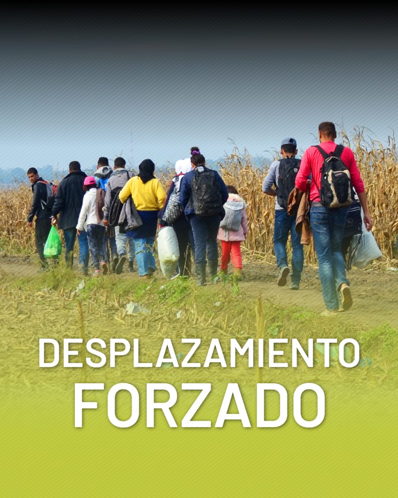 Temas_collage_climaton_todos-14